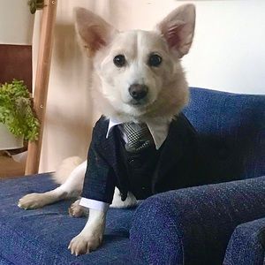 Meet your Posher, Michael